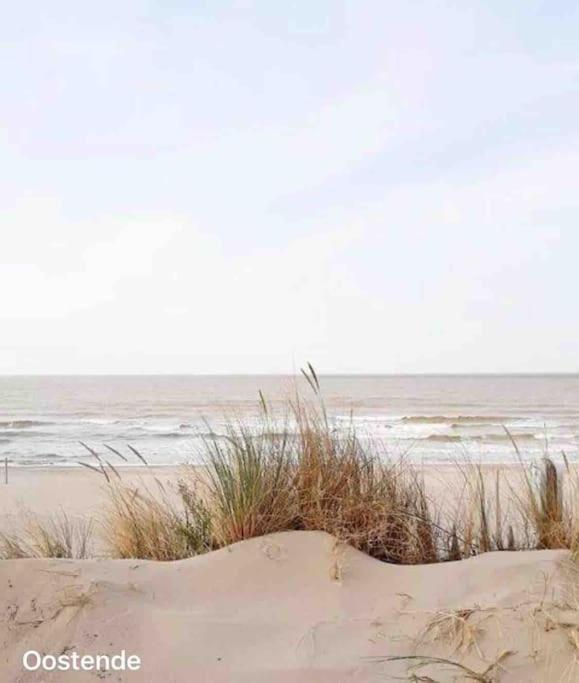 Ostend Chic, Luxe Loftstijl In Oostende Zewnętrze zdjęcie